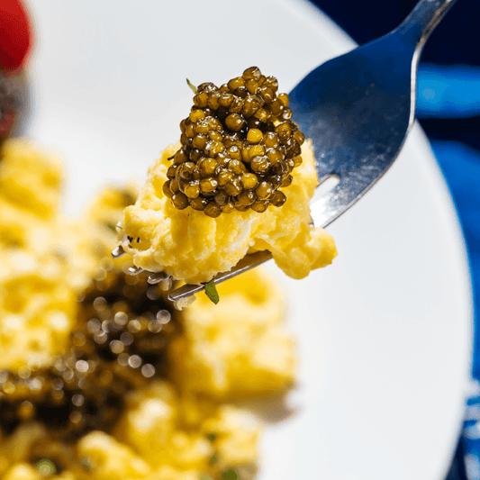 Grand Selection Schrenckii